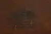 Thumbnail image 20