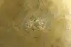 Thumbnail image 14