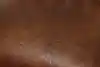 Thumbnail image 14