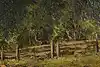 Thumbnail image 9