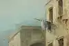 Thumbnail image 7
