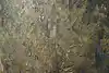 Thumbnail image 11