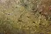 Thumbnail image 12