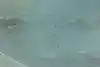 Thumbnail image 12