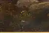 Thumbnail image 13