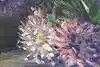 Thumbnail image 8