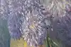 Thumbnail image 9