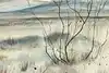 Thumbnail image 8