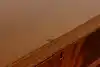 Thumbnail image 18