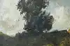 Thumbnail image 12