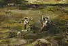 Thumbnail image 8
