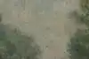 Thumbnail image 10