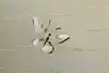 Thumbnail image 18