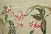 Thumbnail image 22