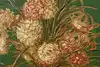 Thumbnail image 24