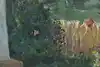 Thumbnail image 9