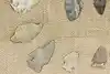 Thumbnail image 10