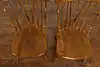 Thumbnail image 4