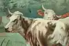 Thumbnail image 7