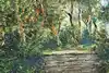Thumbnail image 10