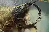 Thumbnail image 11