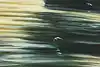 Thumbnail image 10
