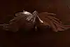 Thumbnail image 24