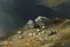 Thumbnail image 7