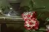 Thumbnail image 10
