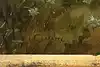 Thumbnail image 14