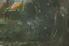 Thumbnail image 9