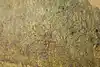 Thumbnail image 11