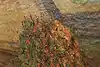 Thumbnail image 12