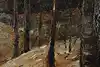 Thumbnail image 10