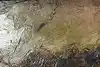 Thumbnail image 11