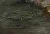 Thumbnail image 13