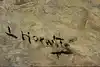 Thumbnail image 14