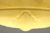 Thumbnail image 14