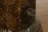 Thumbnail image 7