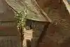 Thumbnail image 5