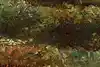 Thumbnail image 8