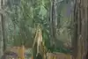 Thumbnail image 11