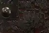 Thumbnail image 23