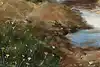 Thumbnail image 10