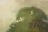 Thumbnail image 9