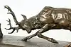 Thumbnail image 14