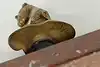 Thumbnail image 16
