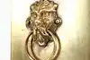 Thumbnail image 19