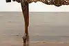 Thumbnail image 16