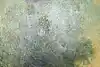 Thumbnail image 12